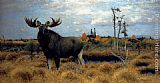 Wilhelm Kuhnert Canvas Paintings - Elks In A Marsh Landscape